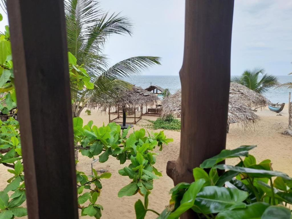Golden Beach Chalets 阿鲁甘湾 外观 照片